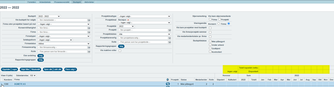 Budsjett - visning av verdier til en brukers total-kapaistet (netto) og disponibelt i budsjett1