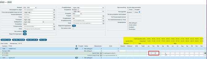 Budsjett - visning av verdier til en brukers total-kapaistet (netto) og disponibelt i budsjett2