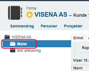 Dokumentmaler med flettefelter