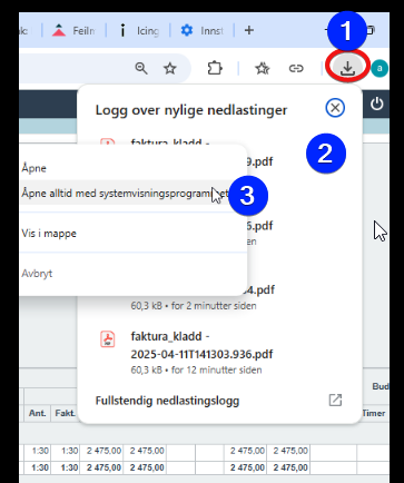 Faktura - vis utskrift - PDF av faktura åpnes ikke i visning